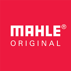 Mahle (Germany)